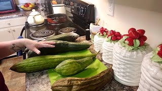 How to process a LUFFA GOURD From green gourd to clean sponge [upl. by Buck]