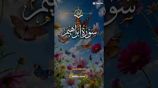 Surah surah bakara ayat beautiful Sl quran allah islamicprayer [upl. by Annhoj]