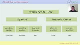 Jägerprüfung Niedersachsen Übersicht Jagd und Naturschutzrecht [upl. by Latisha]