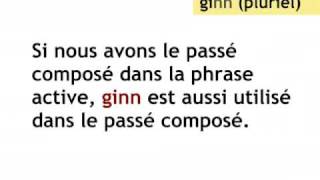 Le Passif Leçon de luxembourgeois [upl. by Portwine]