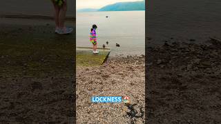 LOCH NESS inverness scotland scotlandtourism scotlandlover scotlandhighlands shorts shortfeed [upl. by Savdeep]