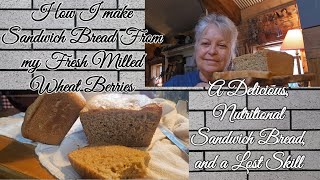 How I make a Soft Sandwich Bread From Fresh Milled Wheat Berries [upl. by Zingale]