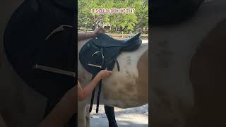 Does your jumping saddle tilt forwards Equestrian Imports [upl. by Hoopes]