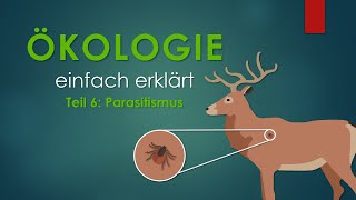 6 Parasitismus  ÖKOLOGIE einfach erklärt [upl. by Ettelegna]