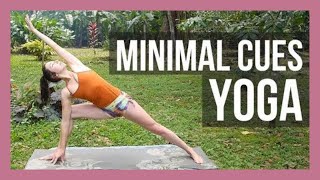 30 min Intermediate Yoga  Minimal Cues Yoga Flow [upl. by Phineas563]