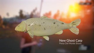 Dovetail Games Euro Fishing  Float Update [upl. by Aubert518]