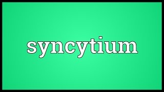 Syncytium Meaning [upl. by Adao473]