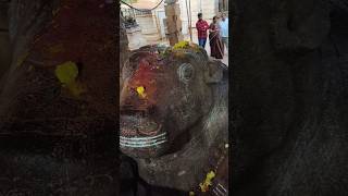 Yaganti nandi yaganti subscribe viralvideo [upl. by Yeslah]