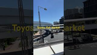 Toyosu fish market Japan fishing japan [upl. by Adlee]