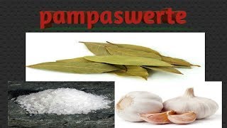 PAMPASWERTE AT PANGONTRA  Dahon Ng Laurel Bay Leaves  Asin Salt  Bawang Garlic [upl. by Haleemak]