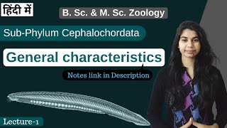 SubPhylum Cephalochordata  general characteristics  In Hindi  B Sc amp M Sc  Zoology [upl. by Nert61]