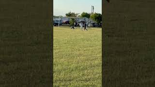 Gol de Luis Ayala exGavilanes de Matamoros con la Ranita FC futbol golazo [upl. by Fredela639]