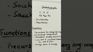 Definition and Functions of Carbohydratescarbohydrates carbohydrate carbohydratemetabolism [upl. by Yelnek812]