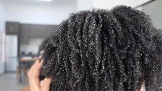 HOW TO DEFINE YOUR 4C NATURAL HAIR IN 10 MINUTES [upl. by Damian]