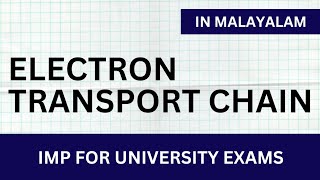 ELECTRON TRANSPORT CHAIN in Malayalam  Learn In [upl. by Eppes]