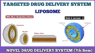 LIPOSOME  Targeted Drug Delivery System TDDS  Novel Drug Delivery System 7th semester [upl. by Milah641]