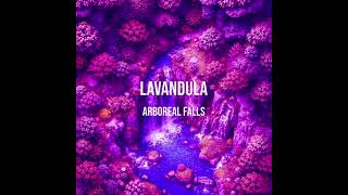 Lavandula  Arboreal Falls [upl. by Eirameinna91]