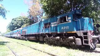 Tren 4515 Temperley Haedo [upl. by Enehs]