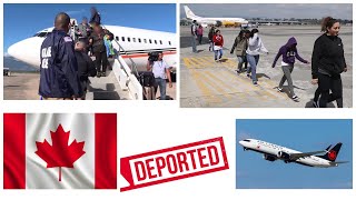 Breaking news A GHANAIAN VISITOR VISA HOLDER HAS BEEN DEPORTED TO GHANA WHY [upl. by Hareenum]