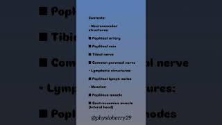 POPLITEAL FOSSA 😱💯anatomy physioberr29 [upl. by Yona]