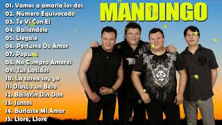 Grupo Mandingo 💥 30 Éxitos Romanticas❤️ Exitos Sus Mejores Canciones De Grupo Mandingo 💓 [upl. by Bellina]