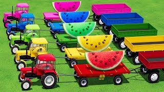 TRANSPORTING Mini URSUS TRACTOR WATERMELON CANOLA TO SELL POINTS  Farming Simulator 22 [upl. by Enois]