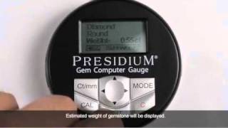 Testing with Presidium Gem Computer Gauge Weight estimation [upl. by Cioffred227]