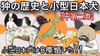 小型日本犬と狆の謎〜狆は8種類いた⁈〜お犬様狆第二弾 [upl. by Enyrehtac185]