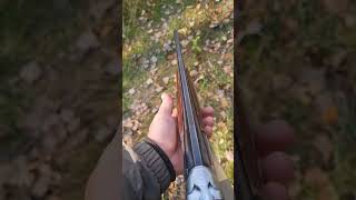 HuntingОхота shorts shotgun hunting hunt cz cartridge gun weapon 20cal Doublebarrel shot [upl. by Yrrah309]