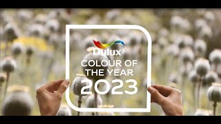 Colour Trends 2023  Interior Design Decorating Ideas  Dulux Trade [upl. by Garik48]