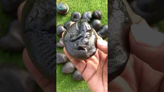 Shaligram  sri maha vishnu shaligram shila 💐💐 shorts short shortsfeed [upl. by Suiravad788]