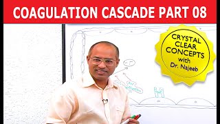 Coagulation Cascade  Part 812 [upl. by Decca]