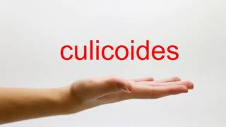 How to Pronounce culicoides  American English [upl. by Ettenor655]