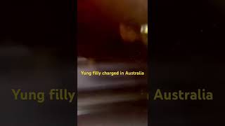 Yung filly charged in Australia for sex offences [upl. by Rebhun855]