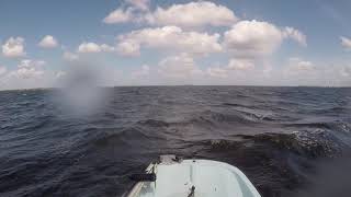 The whaler 11 taking on some rough seas this past weekend fishing [upl. by Sissel]