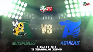 MFL TV presenta Finales equipados 2024 Peewee3 [upl. by Aicilehp]