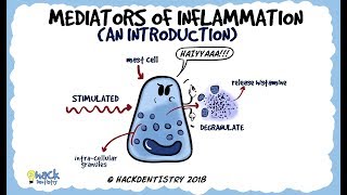 Mediators of Inflammation An Introduction [upl. by Burgener]