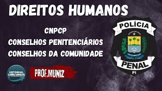 Direitos Humanos CNPCPConselho PenitenciárioConselho da Comunidade PPPI [upl. by Otreblanauj346]