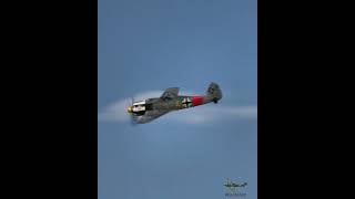 FockeWulf Fw190 tailchasing a Supermarine Spitfire vintageaircraft aviation dogfight avgeek [upl. by Pillihpnhoj250]