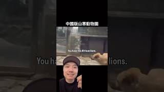 Fake Chinese Zoo animals [upl. by Assili909]