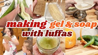 TRYING TO MAKE HAIR GEL amp HAND SOAP FROM GREEN LUFFA PULP EXPERIMENTING WITH LUFFAS [upl. by Shamrao]