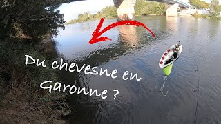 Chevesne a la cuillère en Garonne [upl. by Zerline142]