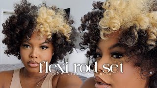 HOW TO My Updated Flexi Rod Set on DRY Natural Hair Step by Step  Wash Day  Naturally Sunny [upl. by Josler909]