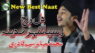 DIL VICH VASEYA SHEHER MADINA  MUHAMMAD JAHANZAIB QADRI  OFFICIAL HD VIDEO  HITECH ISLAMIC [upl. by Nired]