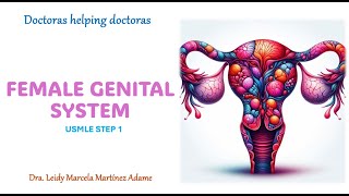 Female Genital System  Step 1 [upl. by Ettenay876]