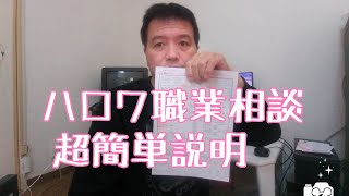 ハローワーク職業相談実績の簡単作り方＆求職活動２回実績作れます【日常系５０代無職】字幕変換OK [upl. by Etnauj]