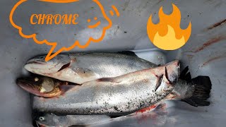 THIS WEEKS FISHING REPORT🎣🔥 32024 fishing michigan lakestclair stclairriver lakehuron fish [upl. by Janek]