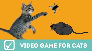 Video gioco per gatti il topo e la mosca con suono [upl. by Adanama]