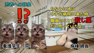 精神科病棟の実習で精神病の恐ろしさを知った話。【猫ミーム】【猫マニ】 [upl. by Thisbee]