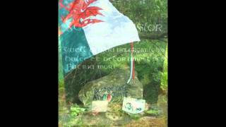 Free Wales [upl. by Roxane]